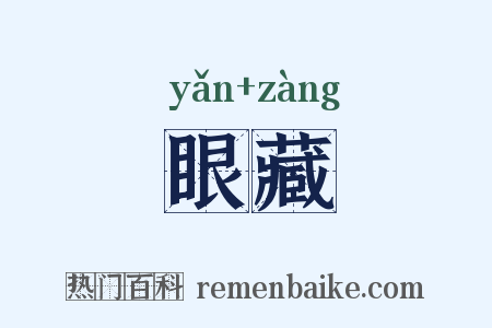 眼藏是什么意思的图片